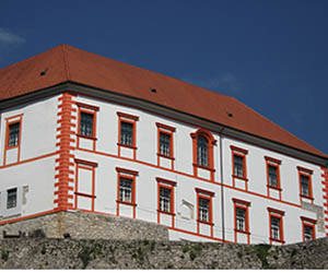 ZAVIČAJNI MUZEJ OZALJ