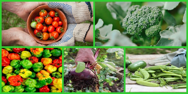 Vrtlarski poslovi u travnju