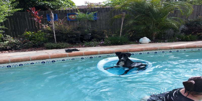 Čišćenje bazena ostavite robotskom čistaču