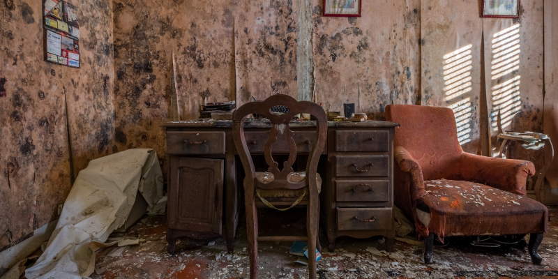 Koja kuhinjska namirnica može pomoći u borbi protiv vlage?