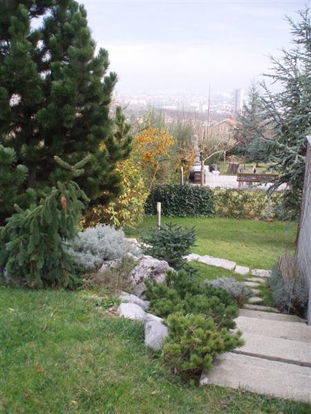 Uređenje zelenih površina