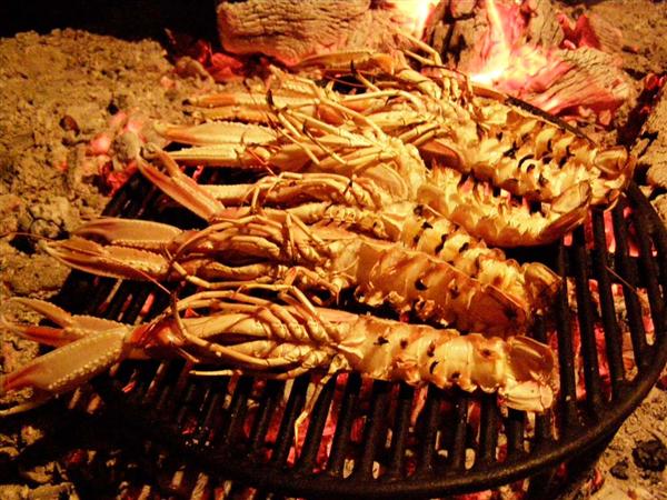 Agroturizam mofardin 10