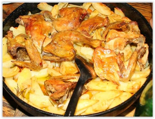 Agroturizam mofardin 11