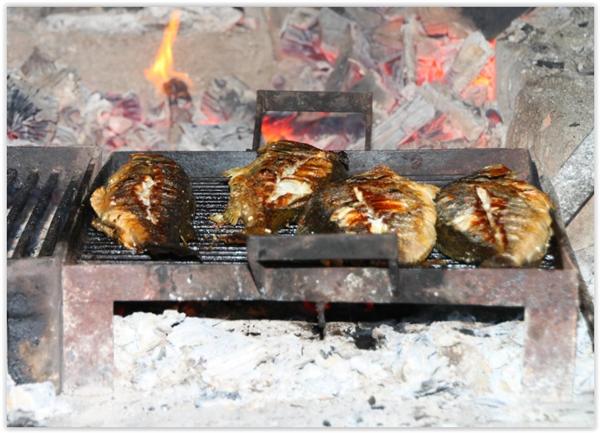 Agroturizam mofardin 12