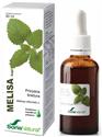 Soria Natural kapi melisa