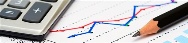 Na području računovodstvenih i knjigovodstvenih djelatnosti knjigovodstveni servis Alma posluje od 1996. godine.