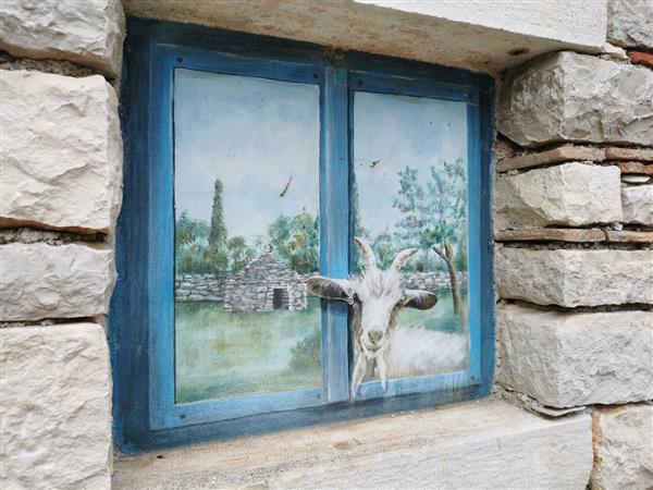 AGROTURIZAM MOFARDIN ROVINJ