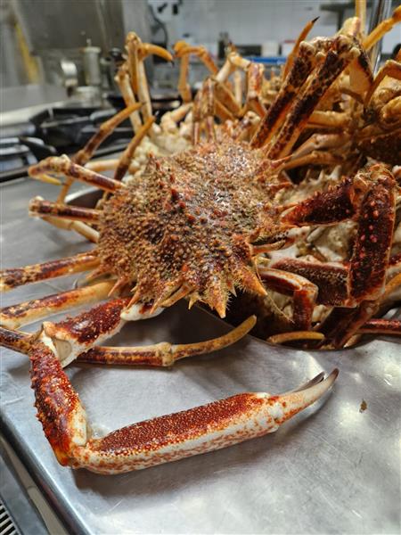 Restoran trošt, vl. ivan trošt vrsar 14