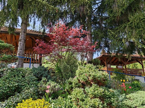 Dom za starije i nemoćne osobe zlatno doba 14