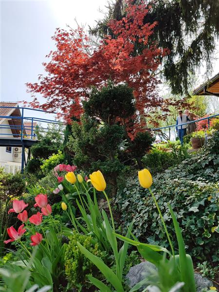 Dom za starije i nemoćne osobe zlatno doba 15