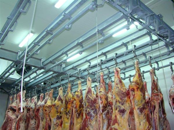 Transportni klizni glajz