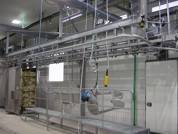 Svinjska linija klanja