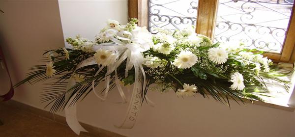 Baetis rajković d.o.o. 2