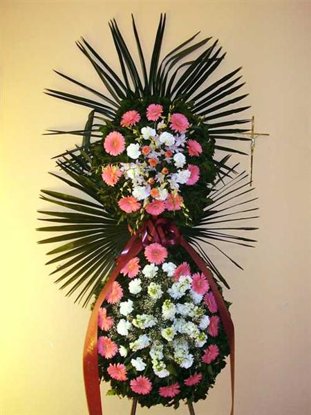 Baetis rajković d.o.o. 6