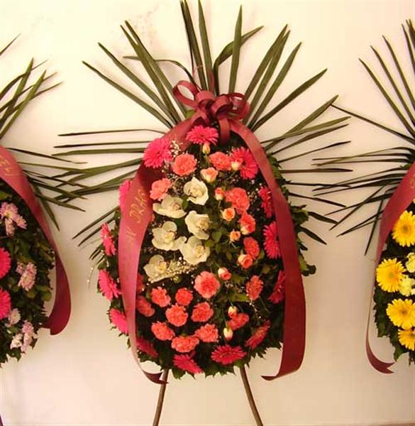 Baetis rajković d.o.o. 7