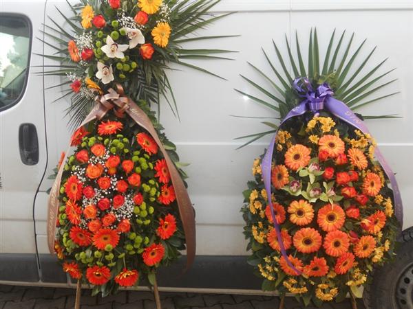 Baetis rajković d.o.o. 9