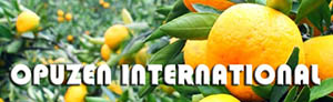 OPUZEN INTERNATIONAL d.o.o. rasadnik sadnica agruma, maslina i ukrasnog bilja cover