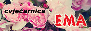 EMA obrt za proizvodnju i prodaju cvijeća, vl. Ivana Štefulj Efendić-Cvjećarnica Ema cover