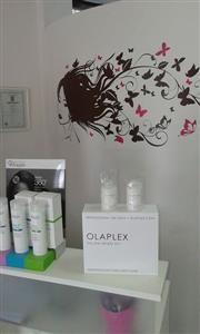 FRIZERSKO-PEDIKERSKI STUDIO GLOSS, VL. VESNA LEVAK BOJANJE KOSE OLAPLEX PRIPRAVCIMA