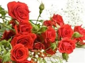 FERMAL d.o.o. CVIJEĆE I DEKORACIJE ZA SVE PRIGODE