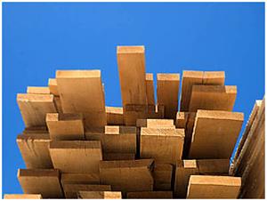 PROTEKTOR - KATALINIĆ d.o.o. DRVENA GRAĐA