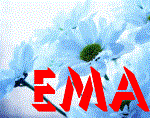 EMA obrt za proizvodnju i prodaju cvijeća, vl. Ivana Štefulj Efendić-Cvjećarnica Ema logo