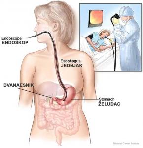 BONA OFFICIA dr. KARDUM d.o.o. GASTROENTEROLOGIJA
