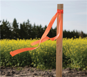 RTK inženjering d.o.o. za geodetske usluge ISKOLČENJE MEĐE