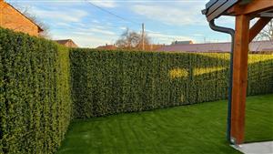 ZETRA MONT d.o.o. IZRADA OGRADA OD UMJETNOG ZELENILA