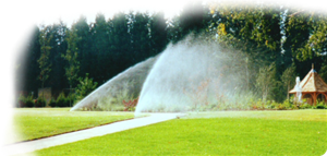 MGN-Metalna galanterija Novak d.o.o. NAVODNJAVANJE PRSKANJEM