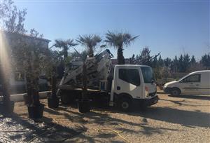 EUROGARDEN, VL. IVAN MILIN OBREZIVANJE KROŠNJI DRVEĆA