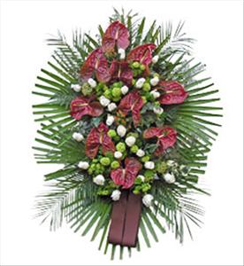 POGREBNA OPREMA I CVJEĆARNICA SJENA ORGANIZACIJA POGREBA