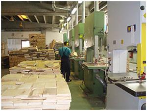 PROTEKTOR - KATALINIĆ d.o.o. PILANA