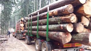 IM COMMERCE d.o.o. PILANA HOLJEVAC PRIJEVOZ TRUPACA