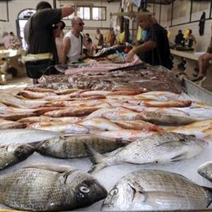 TRŽNICE-HIPPOS d.o.o. Tržnice Split - Ribarnica Split RIBARNICA