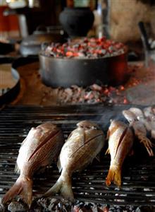 RESTORAN TROŠT, VL. IVAN TROŠT Vrsar RIBLJI SPECIJALITETI