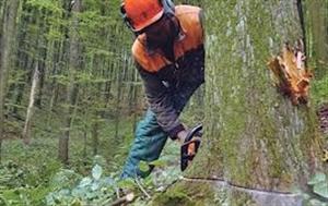 ŠUMARSKI OBRT, BLAŽ MARINOVIĆ VL. DRAŽEN MUTNJAKOVIĆ I KRISTINA MUTNJAKOVIĆ SJEČA DRVA