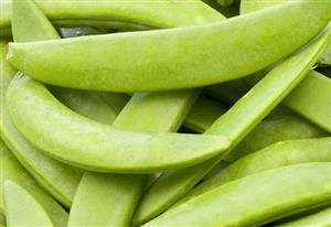 ADRIAFLORA d.o.o. Syngenta sjeme povrća SJEME POVRĆA