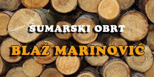 ŠUMARSKI OBRT, BLAŽ MARINOVIĆ VL. DRAŽEN MUTNJAKOVIĆ I KRISTINA MUTNJAKOVIĆ ŠUMARSKI POSLOVI