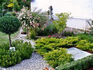 STELLA FLORIS d.o.o. Rasadnik UREĐENJE OKUĆNICA