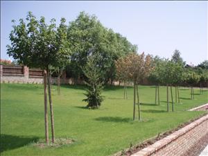 LIPA L.P. d.o.o. projektiranje, uređenje i održavanje zelenih površina UREĐENJE ZELENIH POVRŠINA