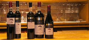 OBITELJSKI PODRUM JOSIĆ, VL. VLATKA JOSIĆ - RESTORAN I VINARIJA JOSIĆ VINA