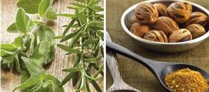 TTR-KOLOVRAT d.o.o. aditivi za mesnu industriju ZAČINI I MIRODIJE