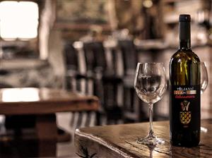 GOSPOJA POLJOPRIVREDNA ZADRUGA - HOTEL VINOTEL - RESTORAN GOSPOJA - KONOBA ŽLAHTINA - PIZZERIA GOSPOJA ŽLAHTINA TOLJANIĆ